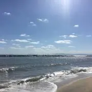 Mkの画像