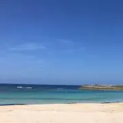 えりぃの画像