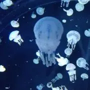 R♡の画像