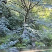 ライオン ✨お値段交渉可能・即日発送✨の画像