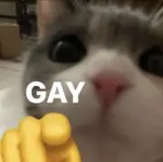 かじの画像
