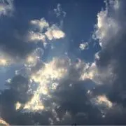 char_kingの画像