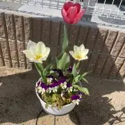 あかり＊の画像