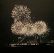 桐の画像