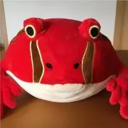 TUBAMEの画像
