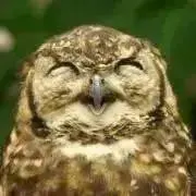 ★kiriham即購入OKプロフ見てね★の画像