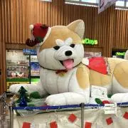 みっしみしの画像