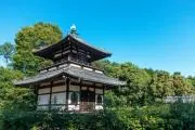 エフイーエスの画像