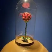 ガウスの画像