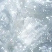 こむぎの画像