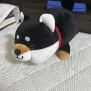 ともの画像
