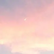 もちの画像