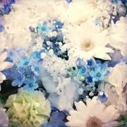P-chan✴︎の画像