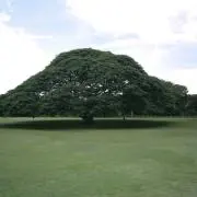 Kマートの画像