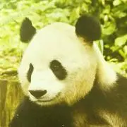ユタカの画像