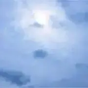 Mameの画像