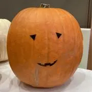 みどりの画像