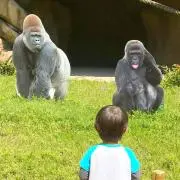 EKの画像