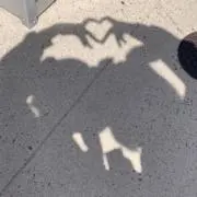 まるまる