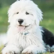 まさとす【購入時プロフ確認】の画像