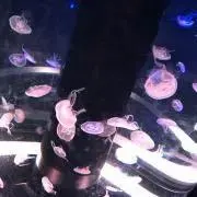 xxxの画像