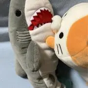 Tetsuの画像