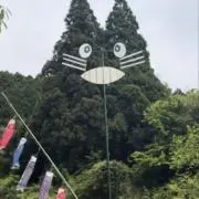 断捨離挫折民の画像