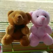 よっしー