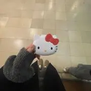 しゃけの画像