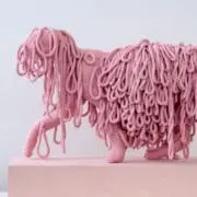 nooookny___の画像