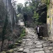 かず