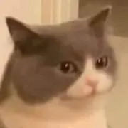 ĐH オビ