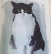 ルルルルルーの画像