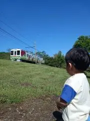 ぽぽんの画像