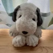 ヒロの画像