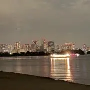 ライチの画像