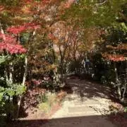 はやとの画像