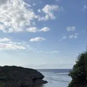 rの画像