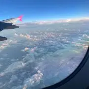 ympの画像