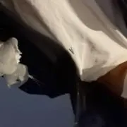 りえの画像