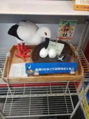 cyancharubychaの画像