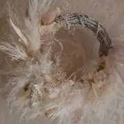 ぴーの画像