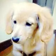 mura26の画像