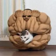 ハンバーグ勇次郎
