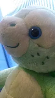あぁ〜あ