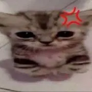 ？の画像