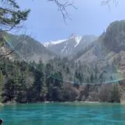 翔太の画像
