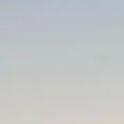 のびたの画像