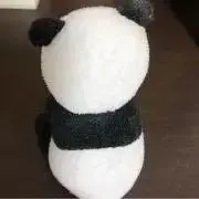 どんぐりの画像
