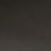 りりの画像